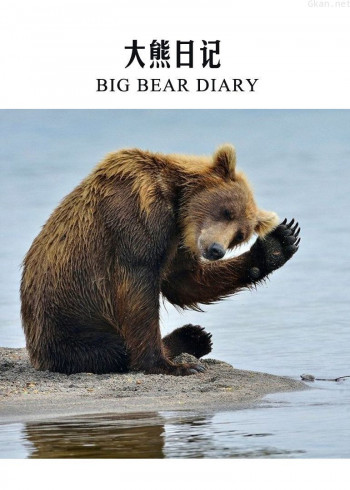 大熊日记