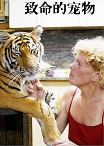 致命宠物 第二季