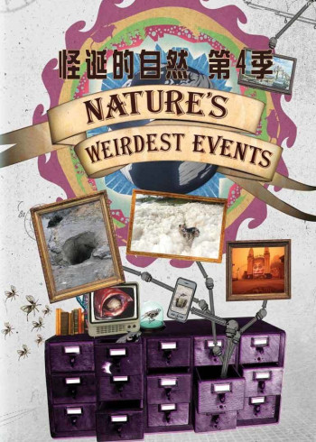 怪诞的自然 第四季