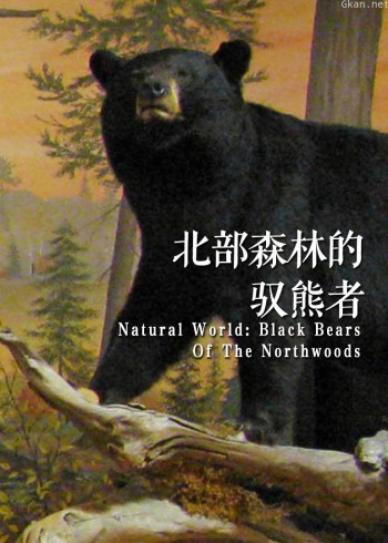 诺斯·伍兹：与熊同行