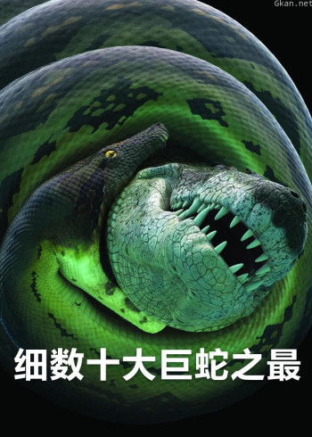 细数十大巨蛇之最