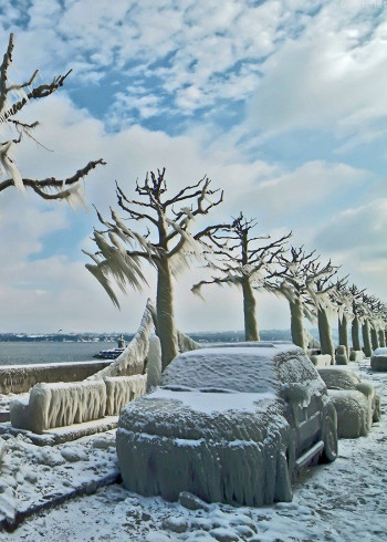 自然界怪奇事件 第一季