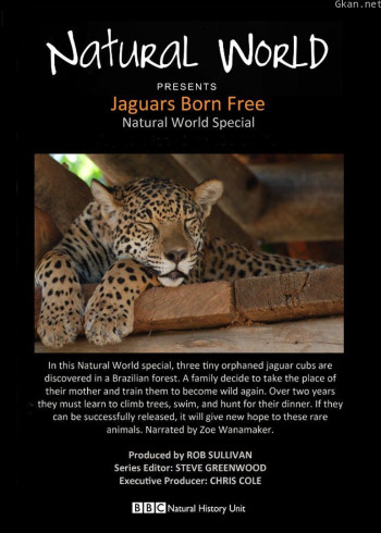 美洲豹:生而自由