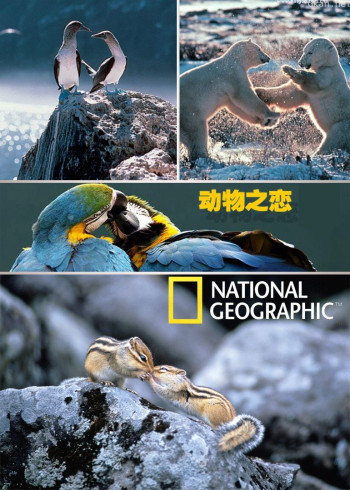 国家地理《动物之恋》