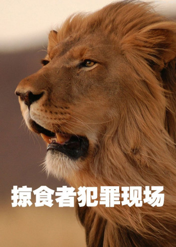 掠食者犯罪现场