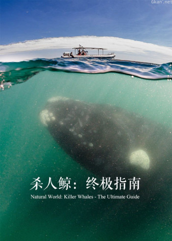杀人鲸：终极揭秘