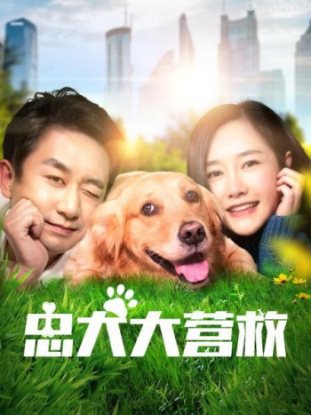 忠犬大营救