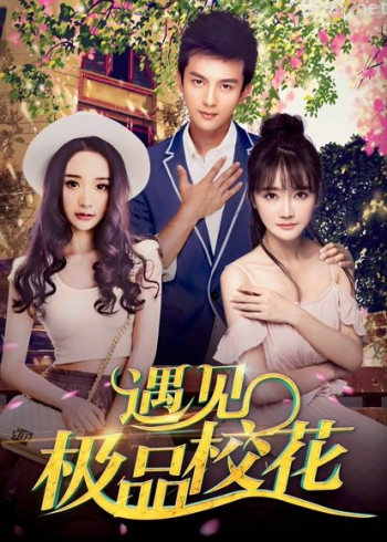 遇见极品校花