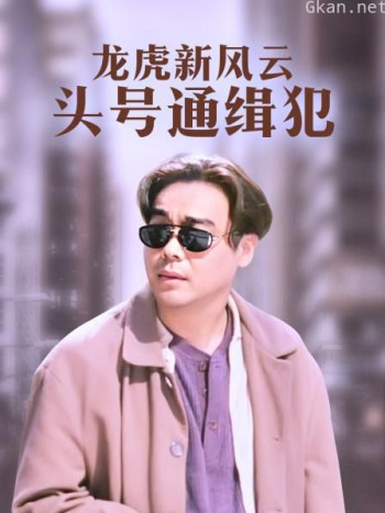 龙虎新风云 头号通缉犯