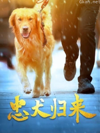 忠犬归来