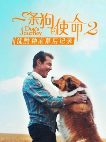 《一条狗的使命2》优酷独家幕后记录