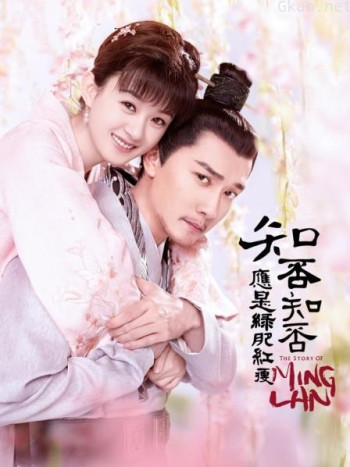 知否知否应是绿肥红瘦 TV版