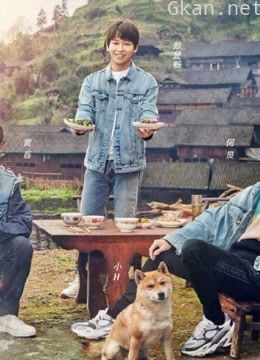 向往的生活3精彩片段