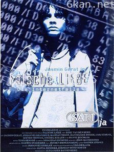 网络陷阱错误的爱