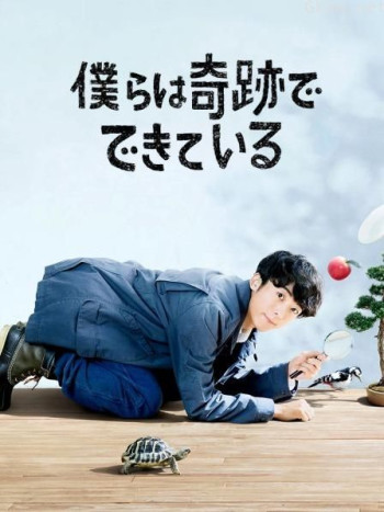 我们由奇迹构成