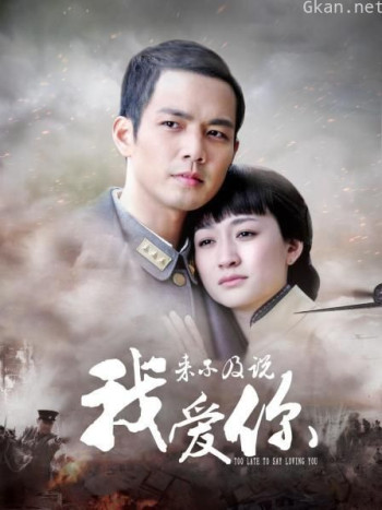 来不及说我爱你