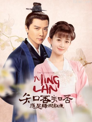 知否知否应是绿肥红瘦 DVD版