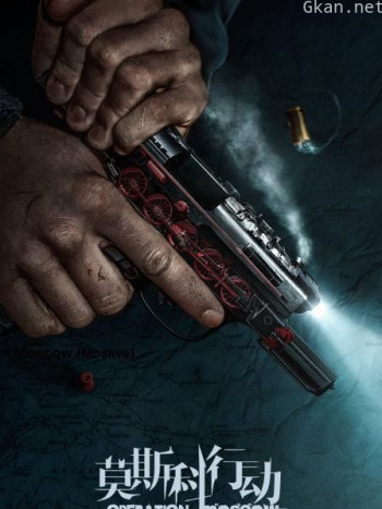 莫斯科行动 DVD版