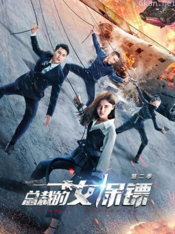 总裁的女保镖 第二季