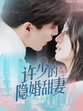 许少的隐婚甜妻 第一季