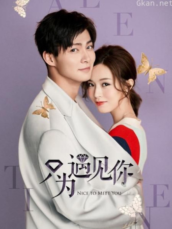 只为遇见你 TV版