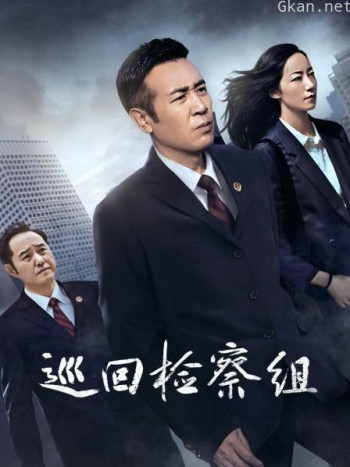 巡回检察组 DVD版