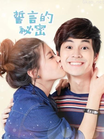 誓言的秘密 DVD版