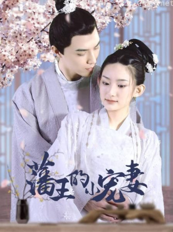 藩王的小宠妻