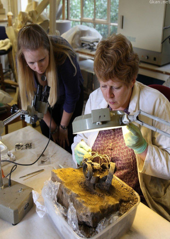 发掘不列颠 第三季