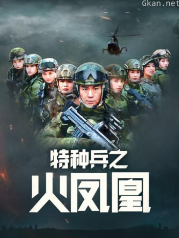 特种兵之火凤凰 DVD版