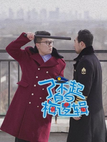 了不起的梅逻辑