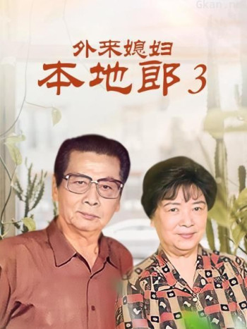 外来媳妇本地郎3