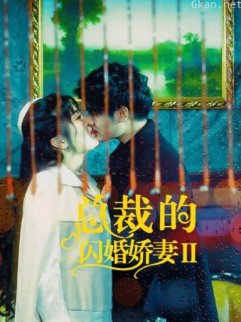 总裁的闪婚娇妻2