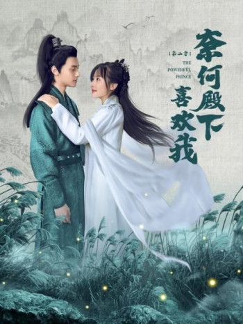 奈何殿下喜欢我 第二季