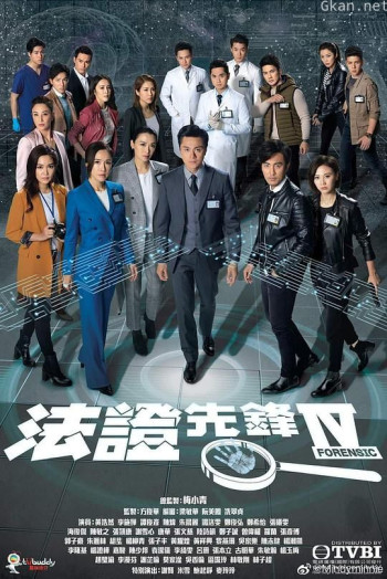法证先锋4