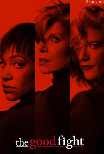 傲骨之战 第二季