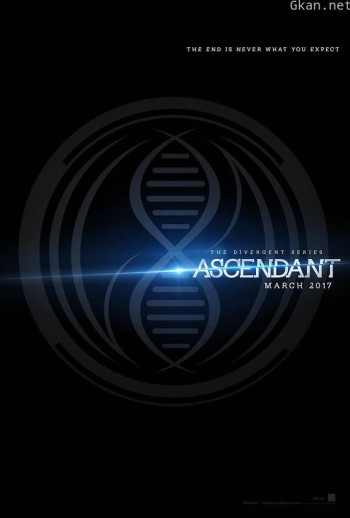 分歧者3:上升之势