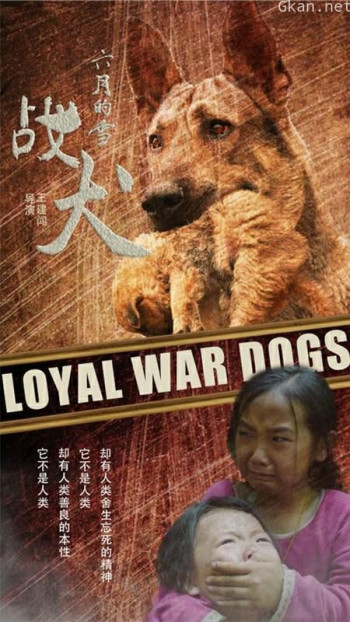 六月的雪之战犬