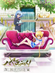 旋风管家 CAN'T TAKE MY EYES OFF YOU