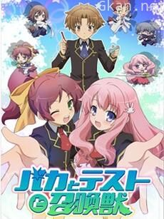 笨蛋，测验，召唤兽 OVA