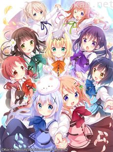 请问您今天要来点兔子吗??