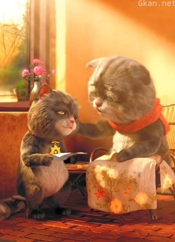 斑布猫日常系列短片