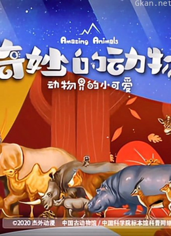 奇妙的动物之动物界的小可爱