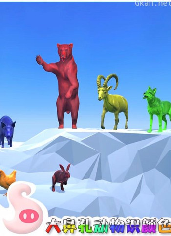 大鼻孔动物识颜色