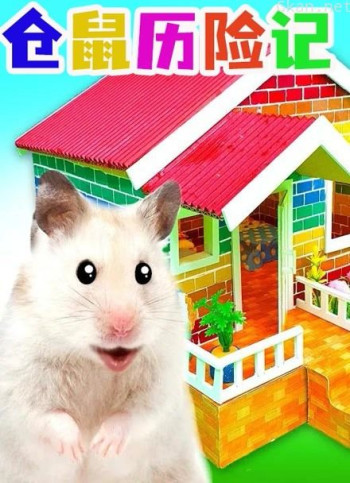 仓鼠历险记
