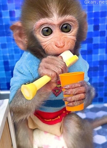 点点爱颜色屋 第二季