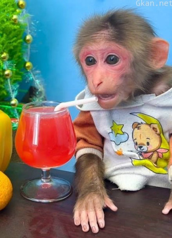 点点爱颜色屋 第三季