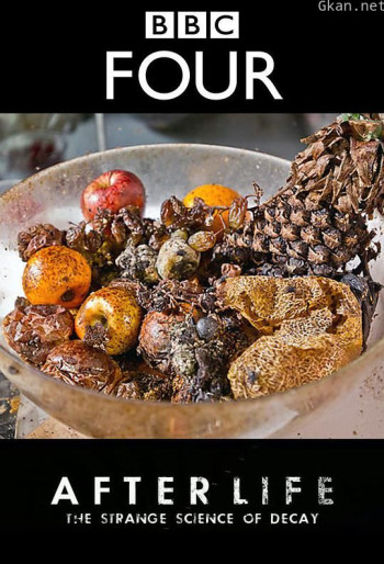 生命循环：奇异的腐烂科学