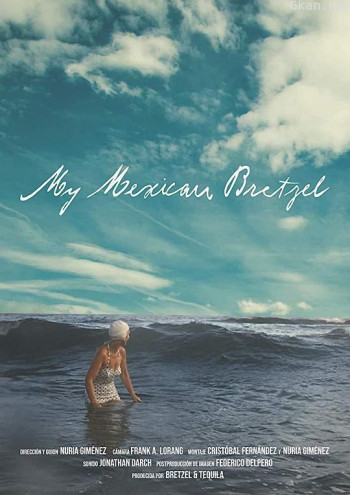 我的墨西哥椒盐脆饼