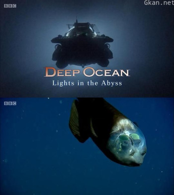 深海：深渊之光